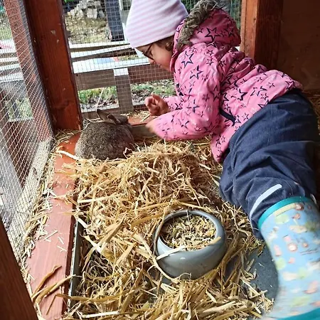 Waldsauna