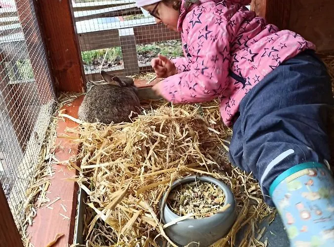 Waldsauna Fahrradfreundlich Am Ruhrtalradweg